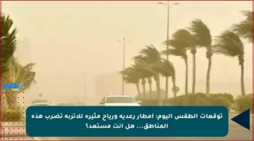 توقعات الطقس اليوم: أمطار رعدية ورياح مثيرة للأتربة تضرب هذه المناطق… هل أنت مستعد؟